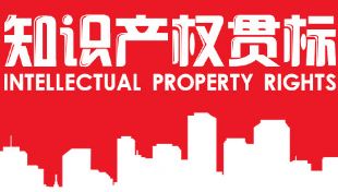 上海三中院（知识产权法院）院长陈亚娟：尊重知识价值，不让违法犯罪在经济上占便宜