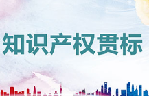 最高奖励50万元！广州越秀区发布知识产权新政策