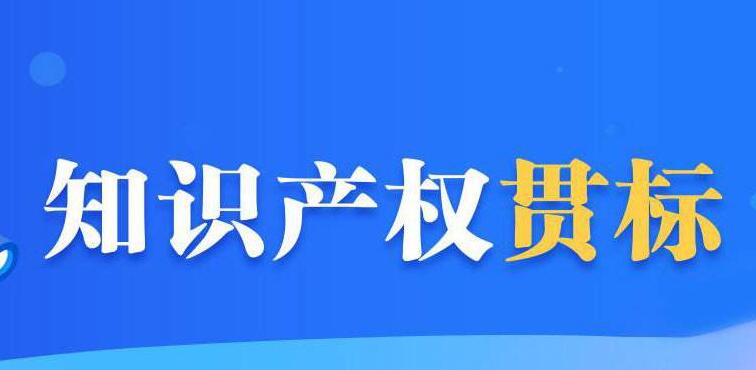 抛开补助，知识产权贯标到底是什么？