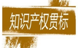 知识产权贯标的目的和意义