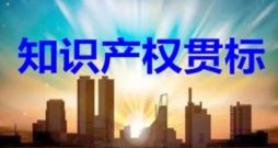 国际保护知识产权协会会长佩洛西：中国知识产权发展令人印象深刻