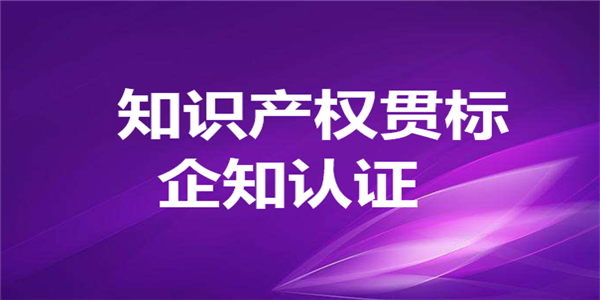 小型企业如何做好ISO9000质量认证