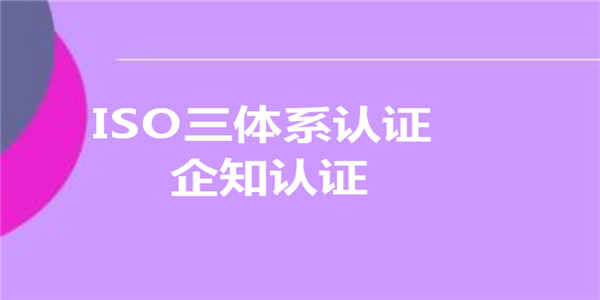 ISO9001质量管理体系内审员培训课程