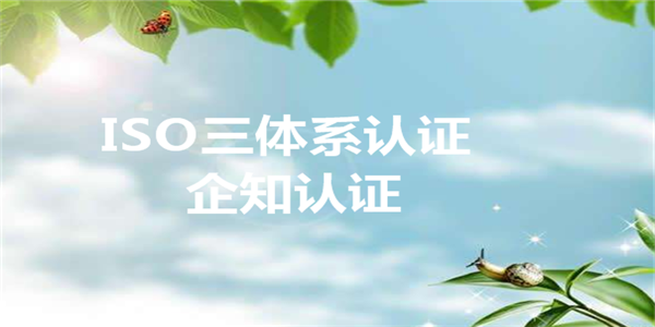 为什么商家都会选择ISO9000？认证有什么用？
