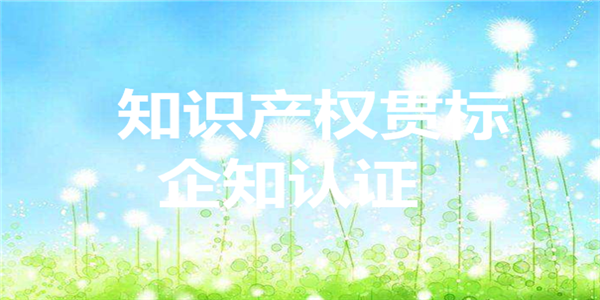 企业质量体系认证咨询分为哪几个阶段