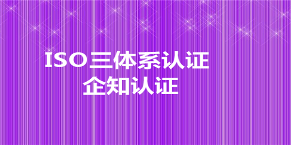 小微企业应用ISO 9001提升质量管理实施指南发布