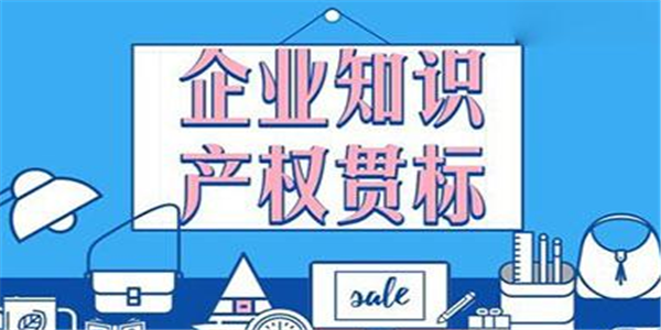 2021年瑞安市知识产权贯标最高奖励5万元，专精特新小巨人企业奖励100万元