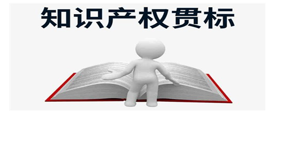 浙江宁波市奉化区：发明专利奖励30万元，知识产权贯标奖励5万元